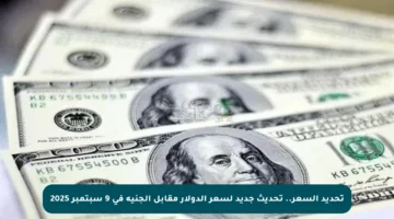 تحديد السعر.. تحديث جديد لسعر الدولار مقابل الجنيه في 9 سبتمبر 2025